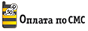Принимаем оплату по SMS